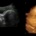 Ecografía Obstetricia 5D